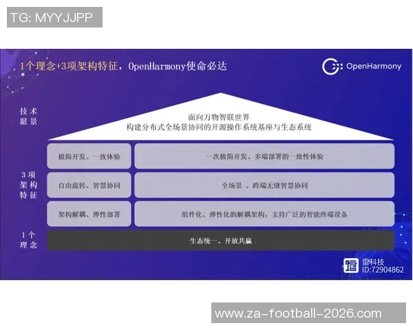 足球改革新思路：对话未来发展与挑战的创新路径探讨